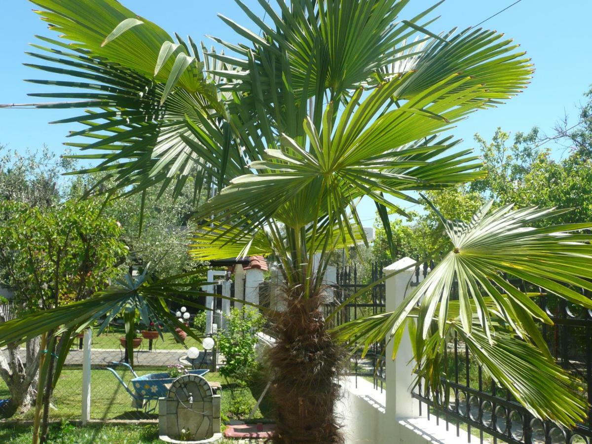 Kallilkratia Holiday Flat 2 Nea Kallikrateia ภายนอก รูปภาพ